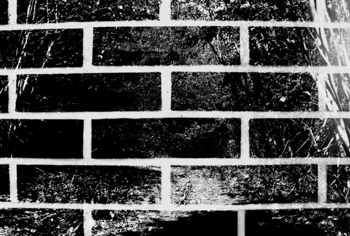 1354 SERIES/ Wall in a forrest