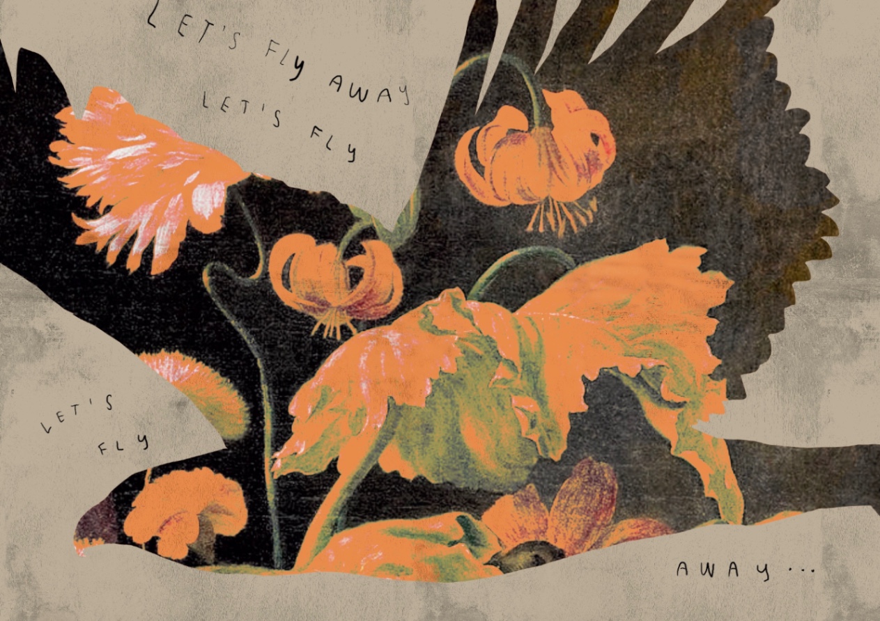 Let’s Fly Away