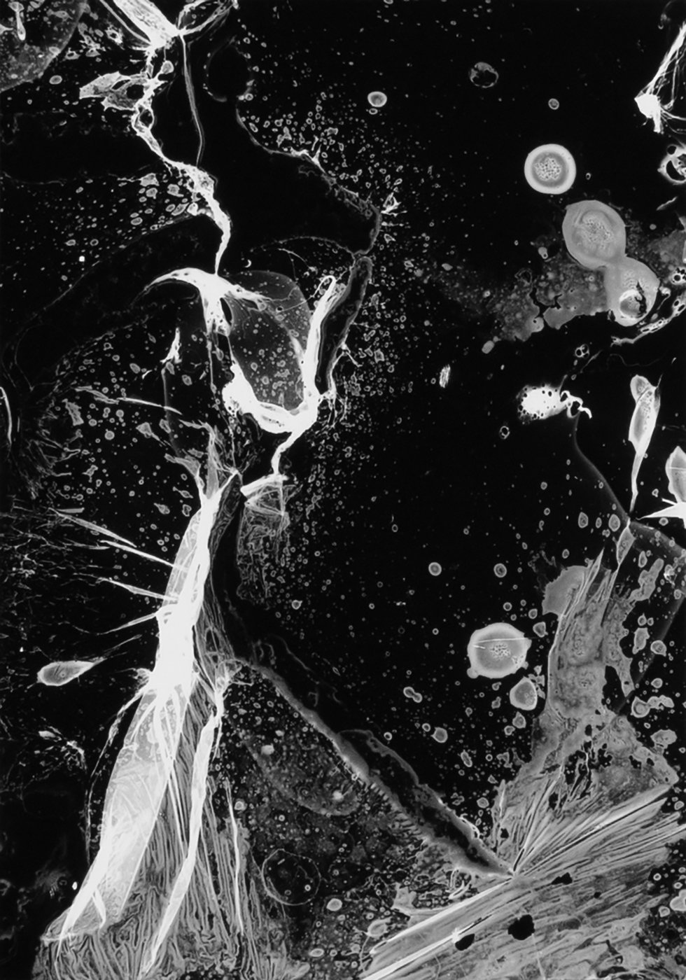 Brainstorm b/w no. 3