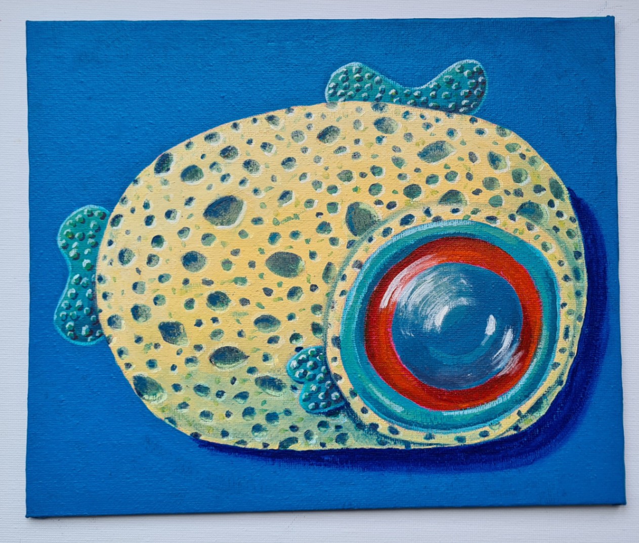 Sponge Fish
