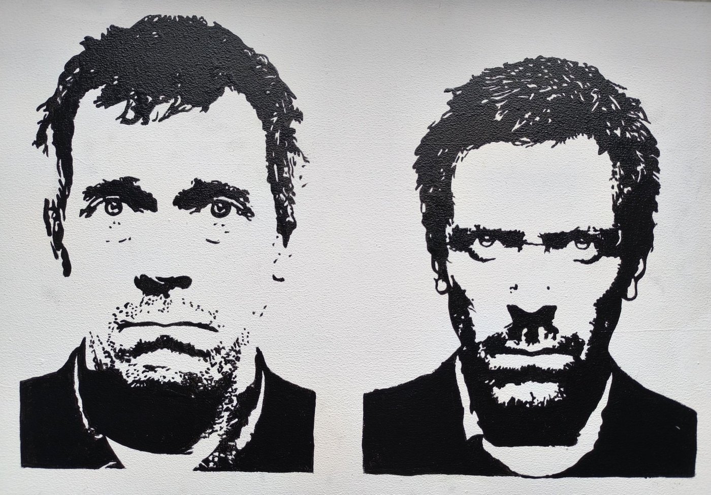 Dr. House - Hugh Laurie - BW1 - diptih