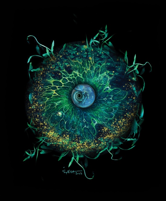 ...:::METAMORPHOSIS:::...