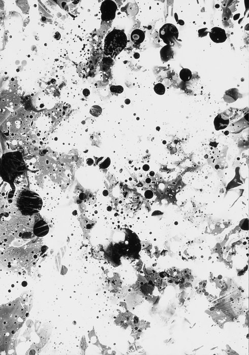 Brainstorm b/w no. 7