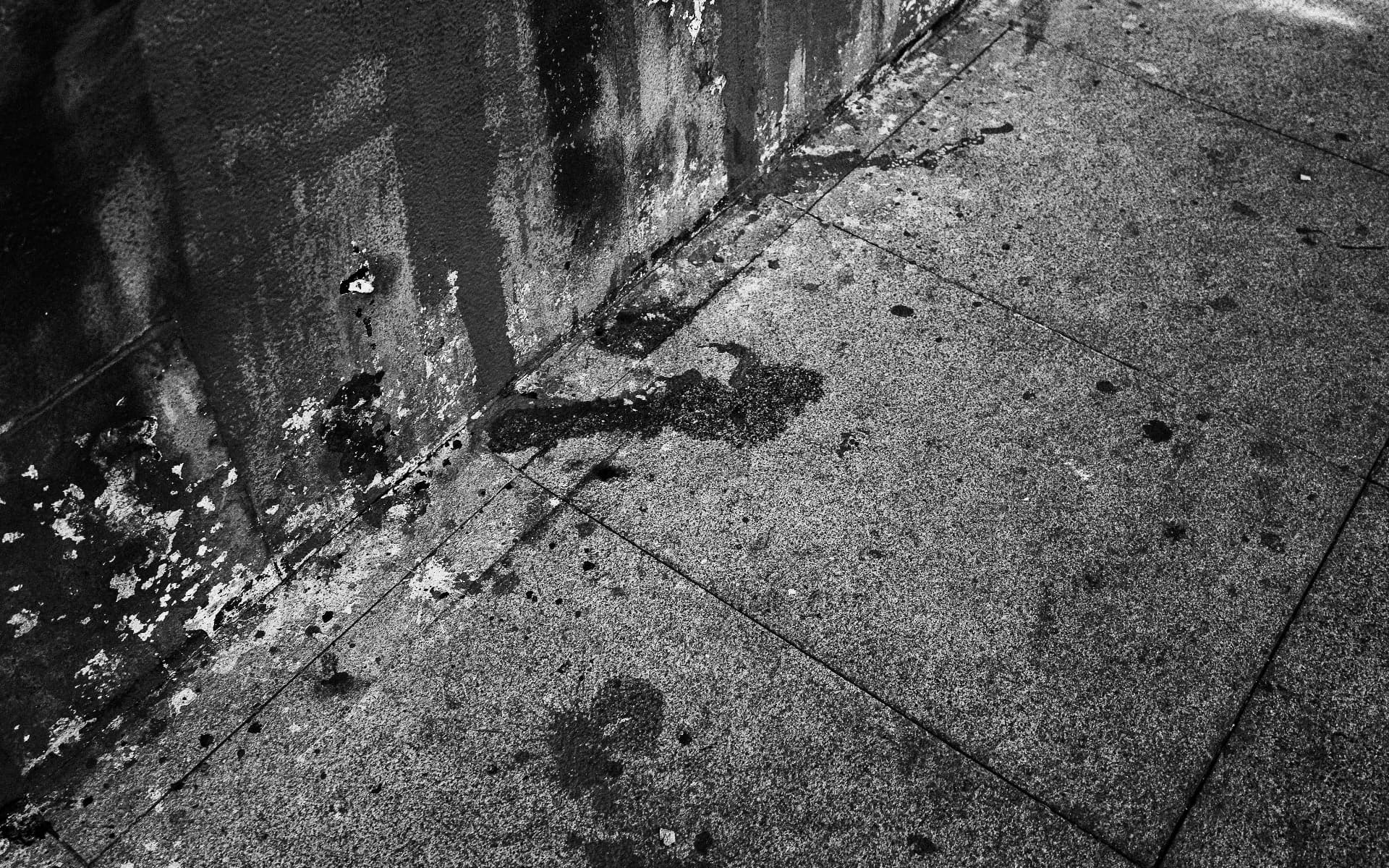 Varja Jovanović Trobec